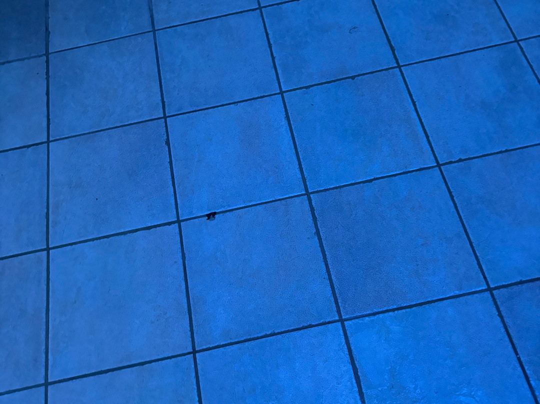 Cardiff International Pool And Gym-卡迪夫必去景点