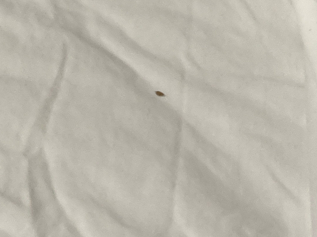 Travelodge by Wyndham Drummondville主图