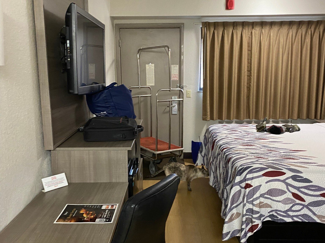 米尔福德红顶客栈主图