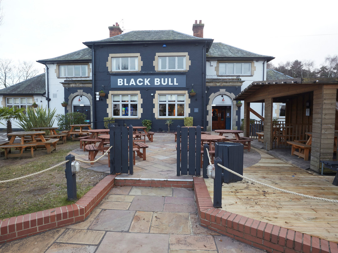 The Black Bull