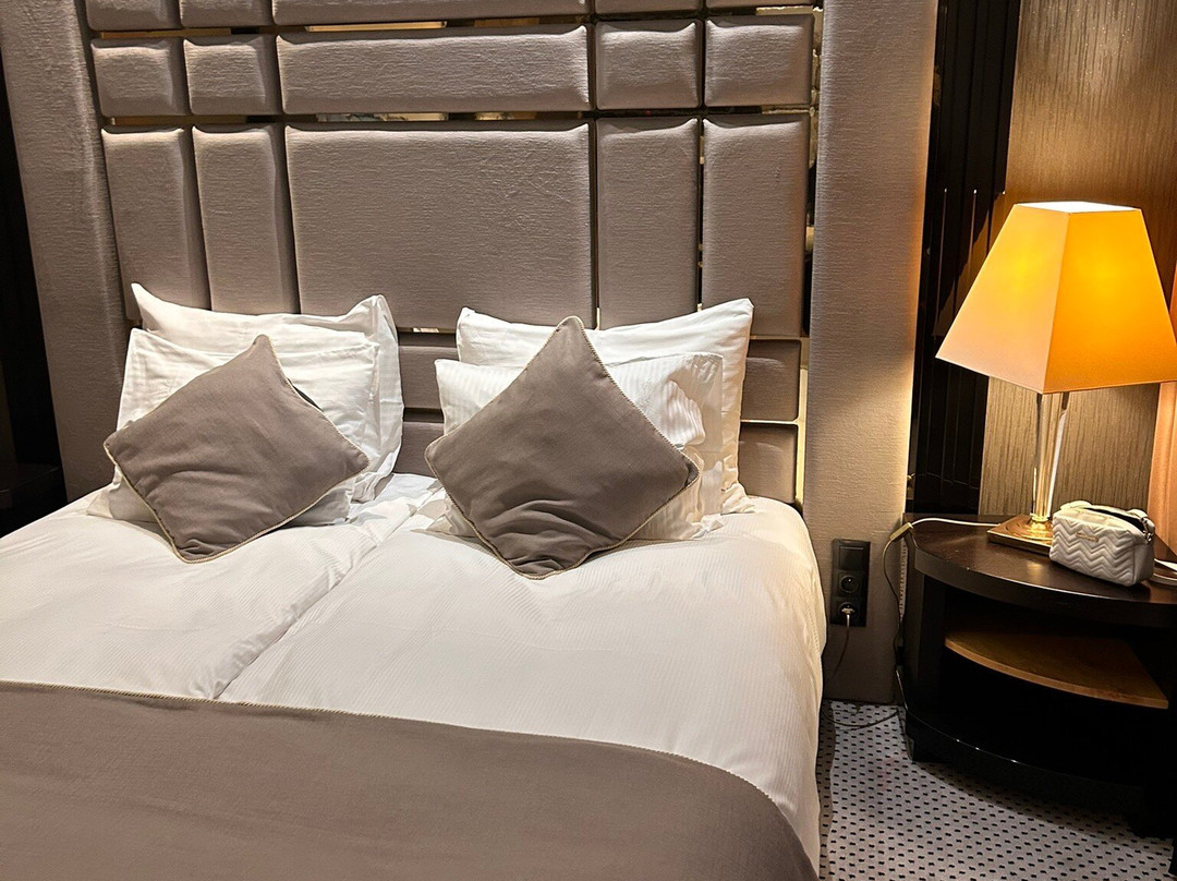 Hotel Dana Business & Conference主图