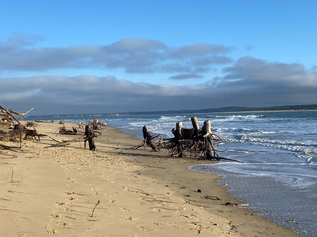 Plage de Gatseau景点图片