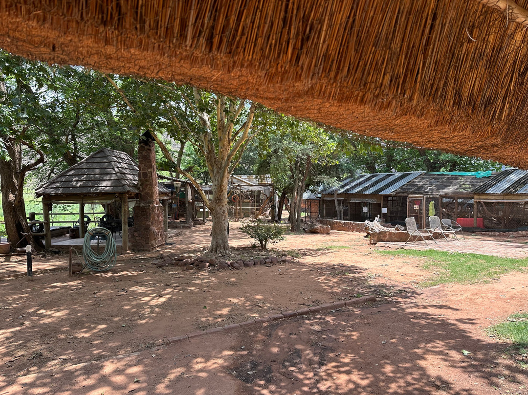 Bambelela Wildlife Care&Vervet Monkey Rehabilitation Farm-贝拉贝拉必去景点