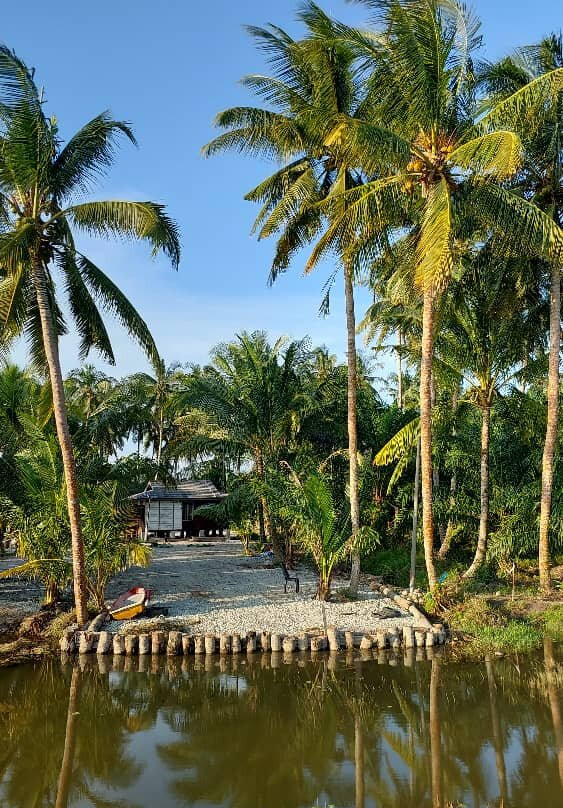 Suri Homestay & Campsite