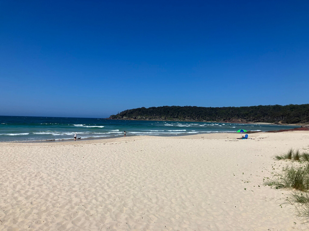 Pambula Beach景点图片