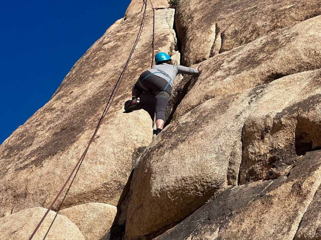 Cliffhanger Guides-约书亚树必去景点