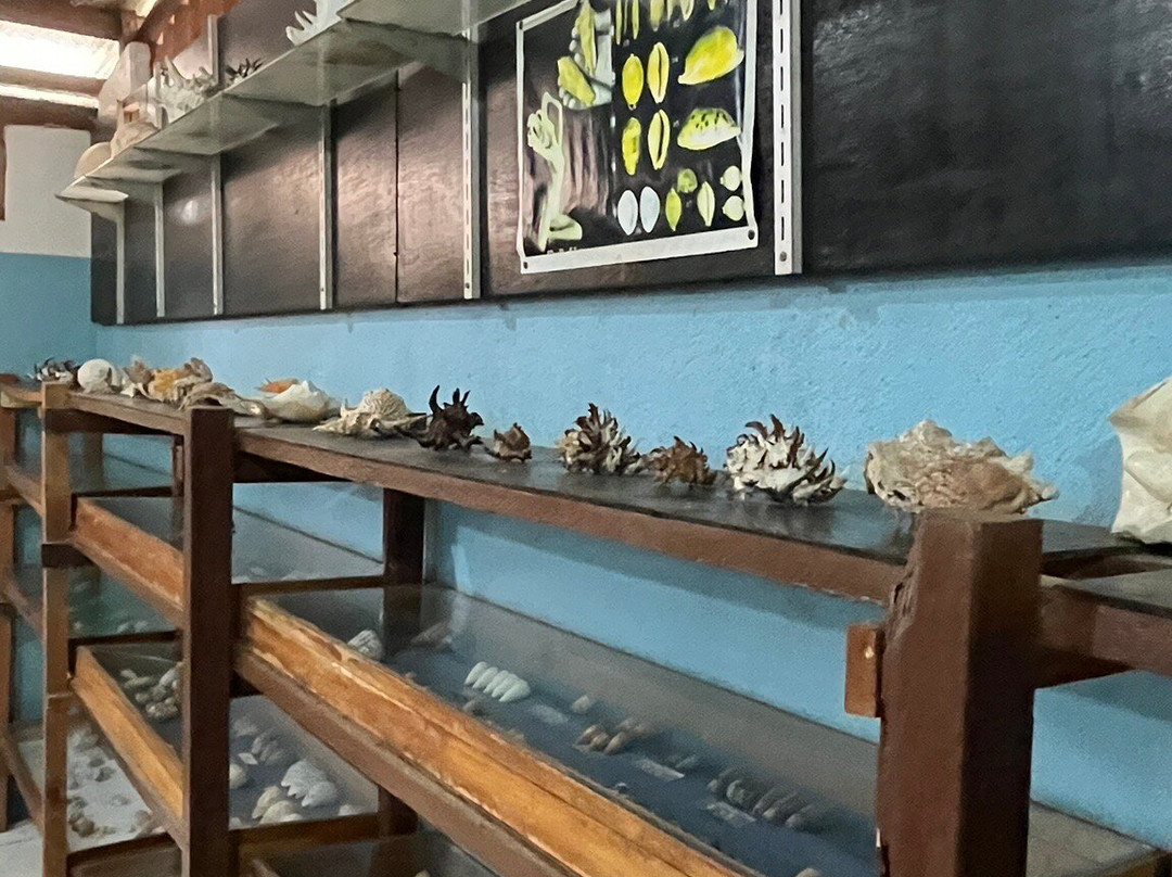 Nova Shells Museum-邦劳岛必去景点
