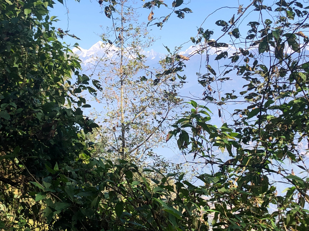 Hotel Village View Nagarkot