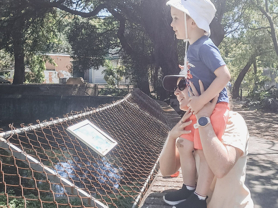 East London Zoo-东伦敦必去景点