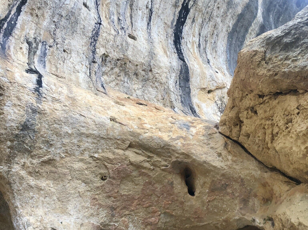 Font-de-Gaume Cave景点图片