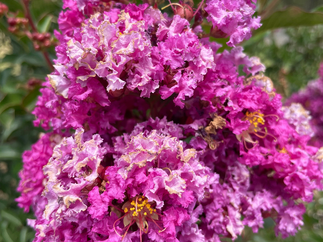 Hazelwood Cemetery-摩威必去景点