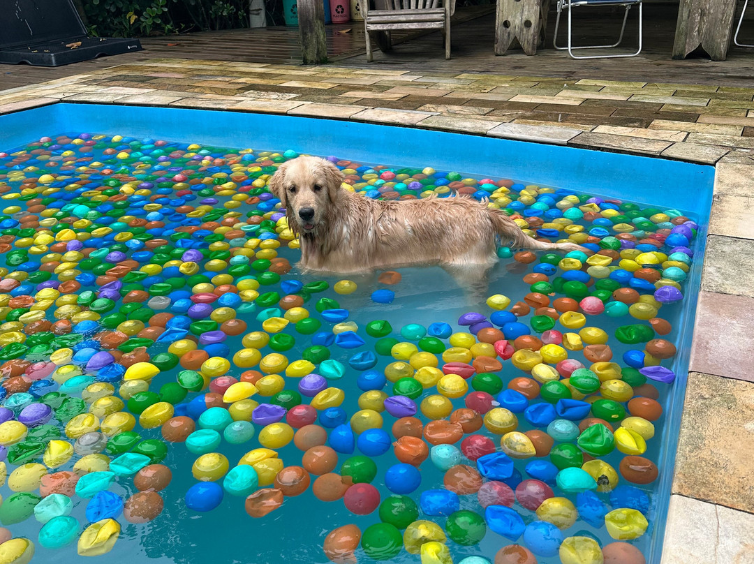 Pousada Portal do Cacau主图