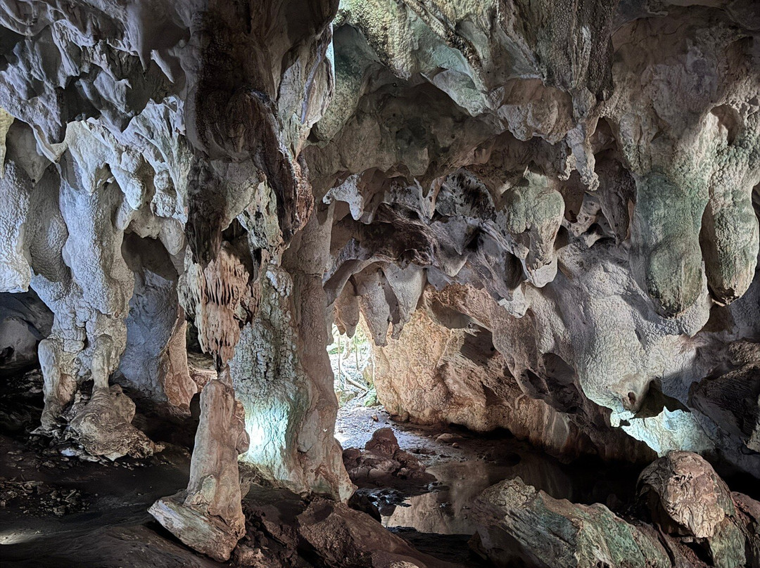 Hamilton's Cave Tours-长岛必去景点