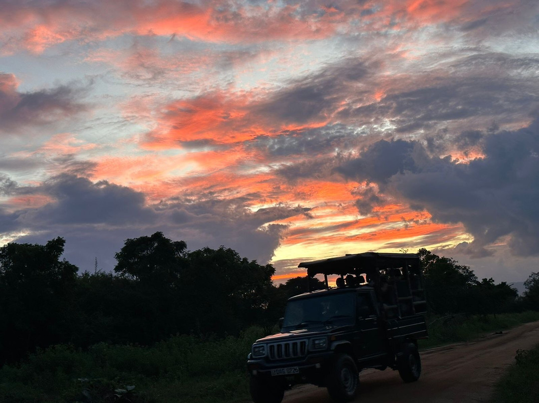 Udawalawe Ethical Safari-乌达瓦拉瓦必去景点