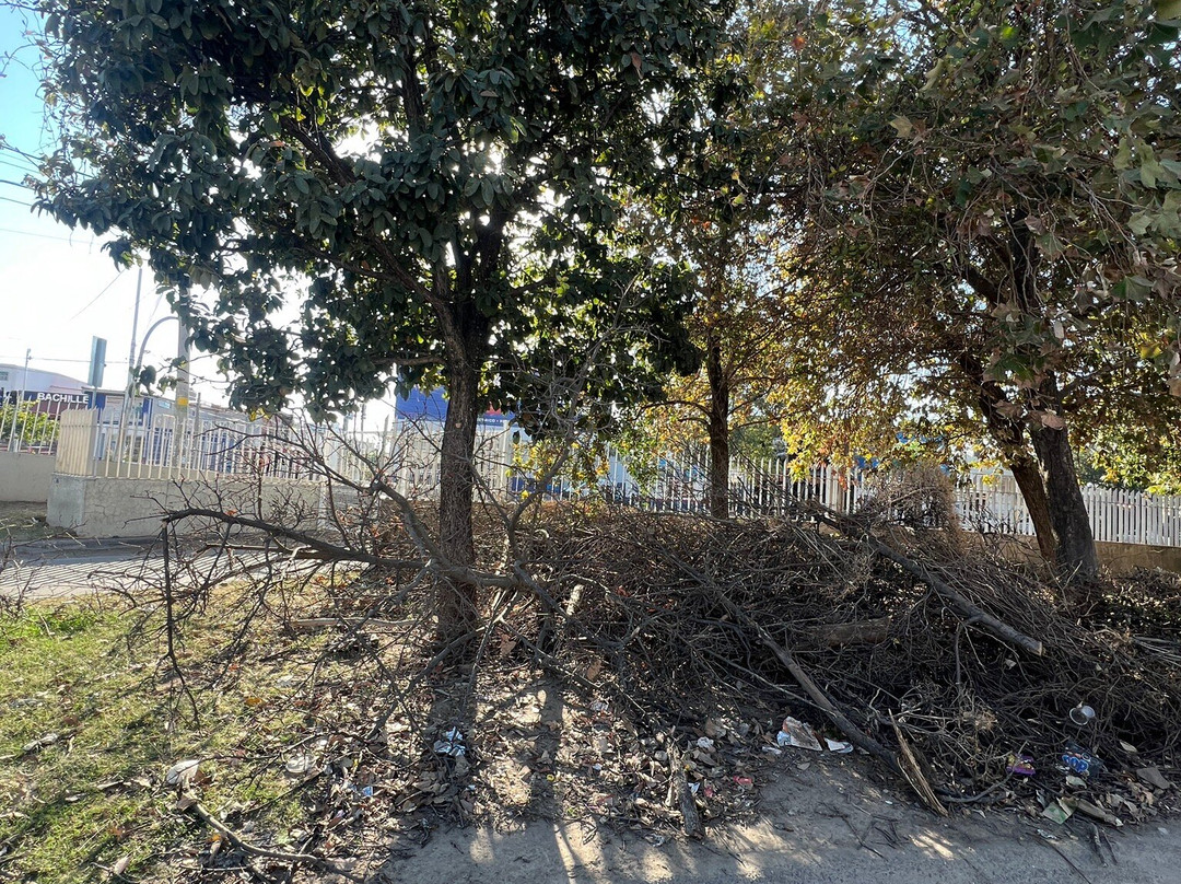 Forum Tlaquepaque-瓜达拉哈拉必去景点
