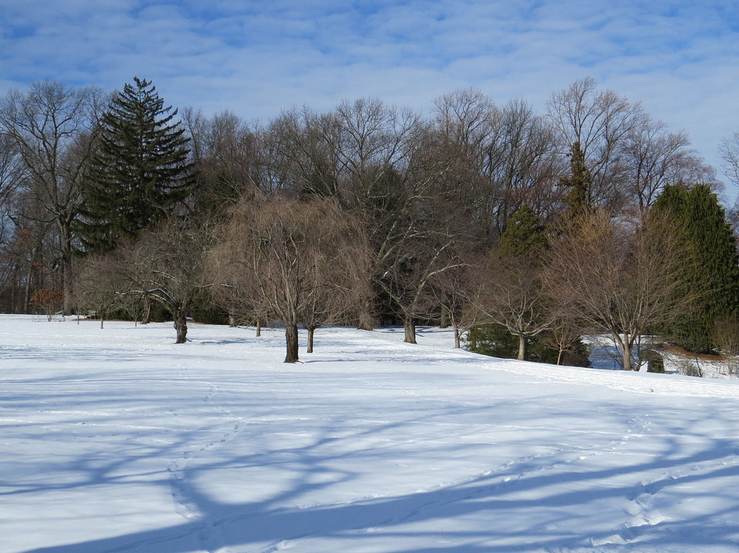 The Frelinghuysen Arboretum景点图片