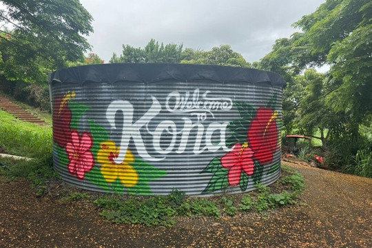 Rising Kona
