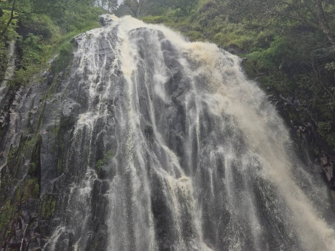 PT Enos Tour Medan-棉兰必去景点