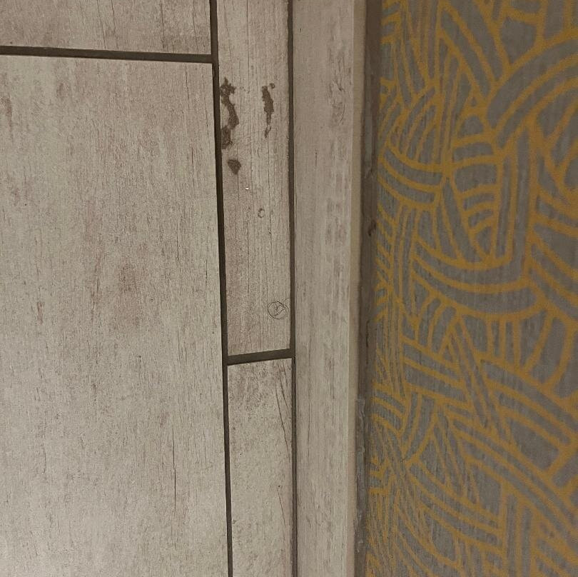 Homewood Suites By Hilton Wilmington/mayfaire, Nc主图