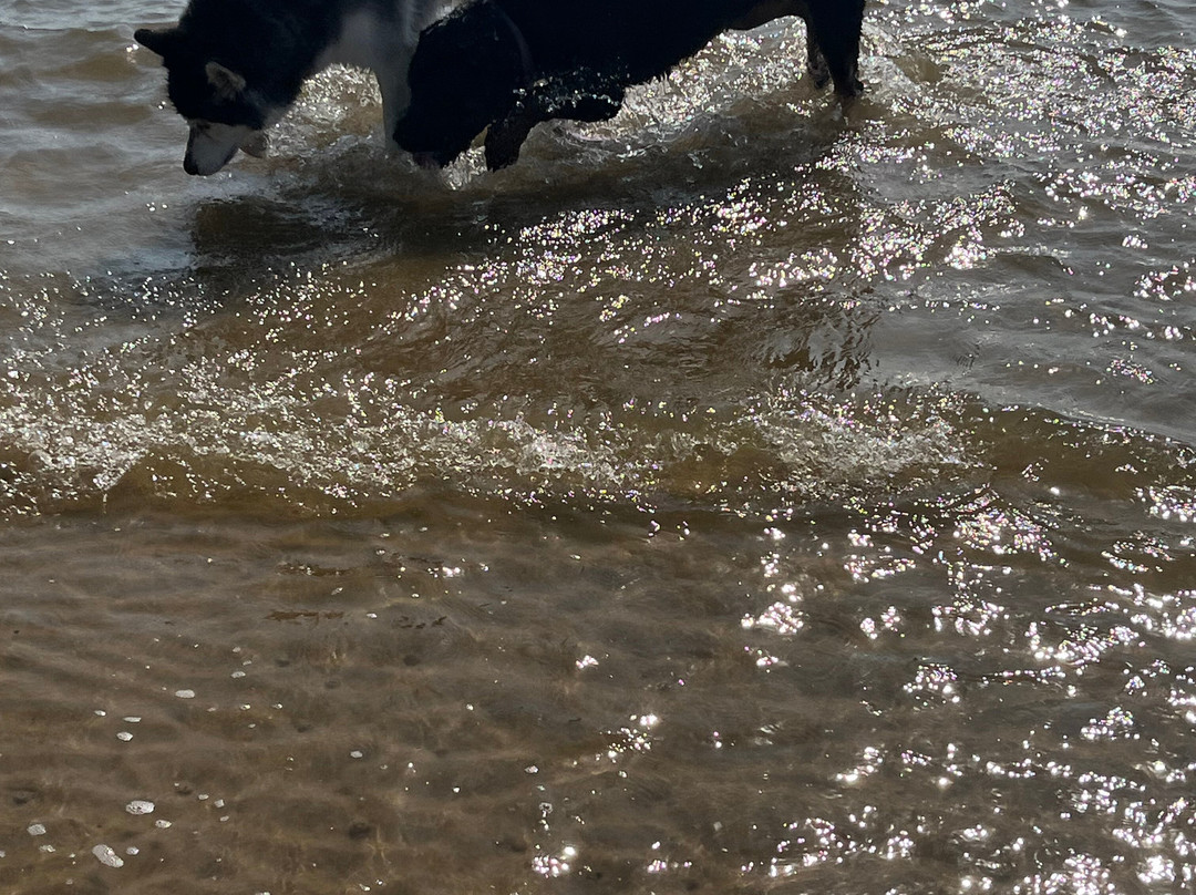 Waveland Beach-Jensen Beach必去景点