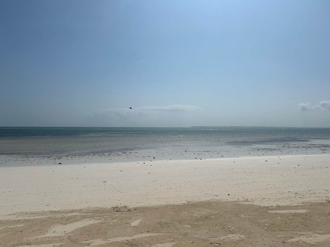 Sunny Palms Beach Bungalows主图