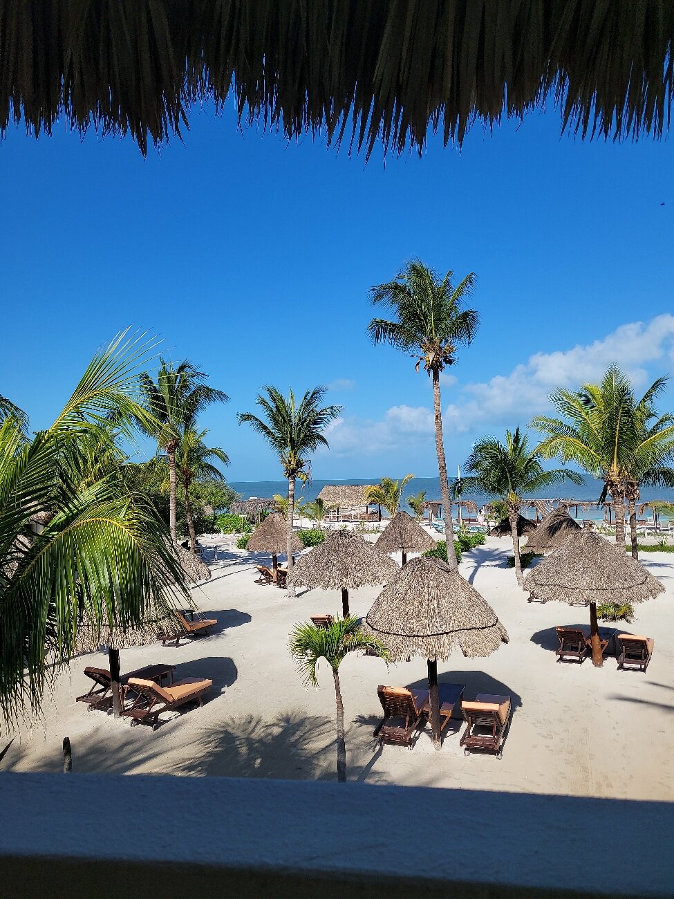 Puerto Holbox-官方