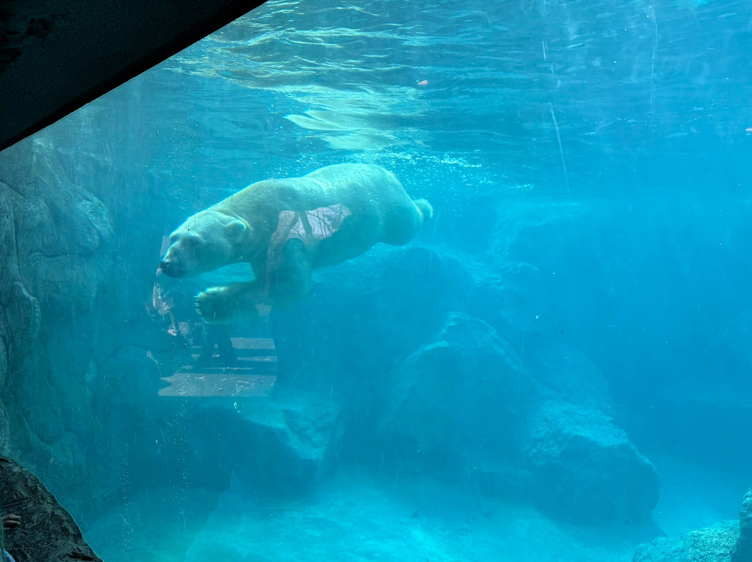 ABQ BioPark Zoo-阿尔伯克基必去景点