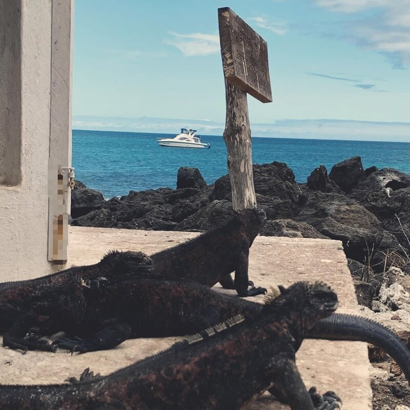 Ferry Galápagos - New Ocean-维里亚米尔港必去景点