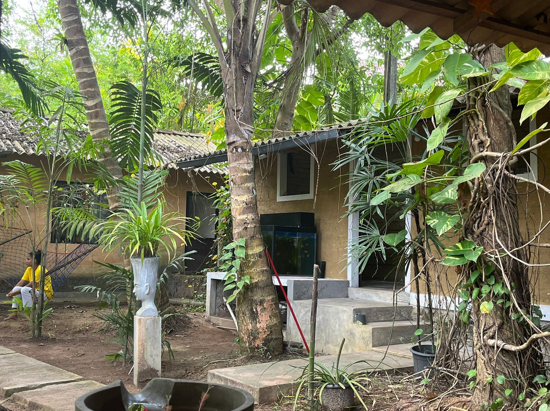 Suwa Asapuwa Ayurveda Centre景点图片