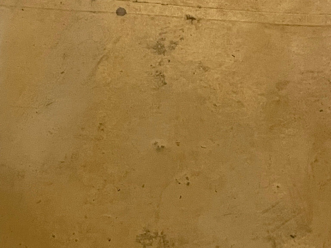 Africa Safari South Serengeti主图