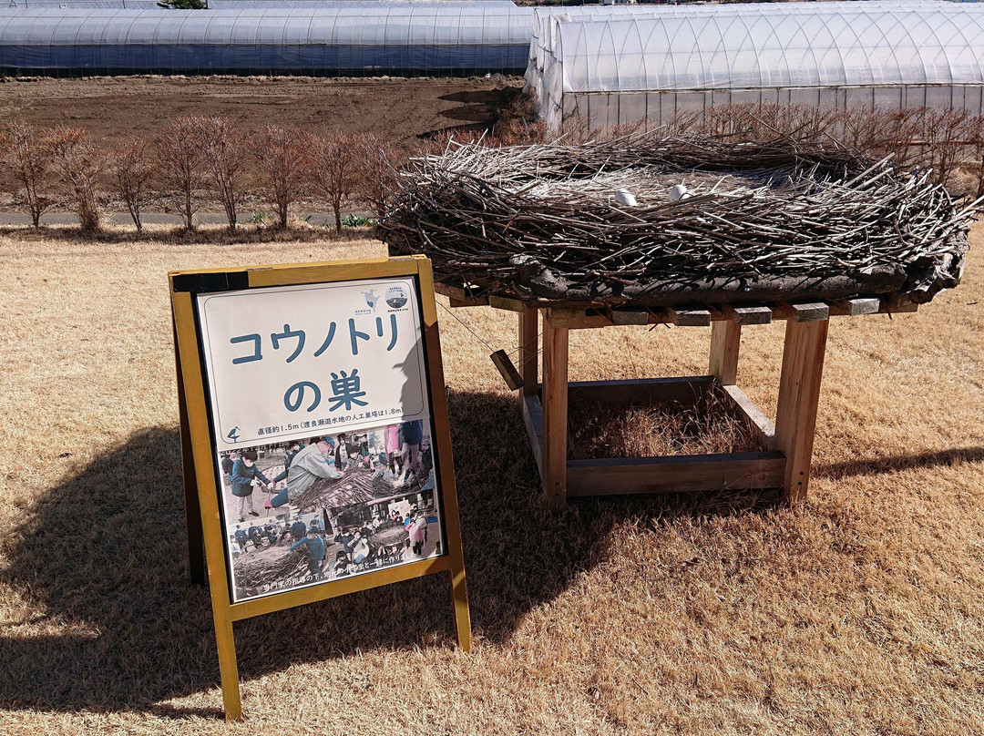 Watarase Retarding Basin Stork Center