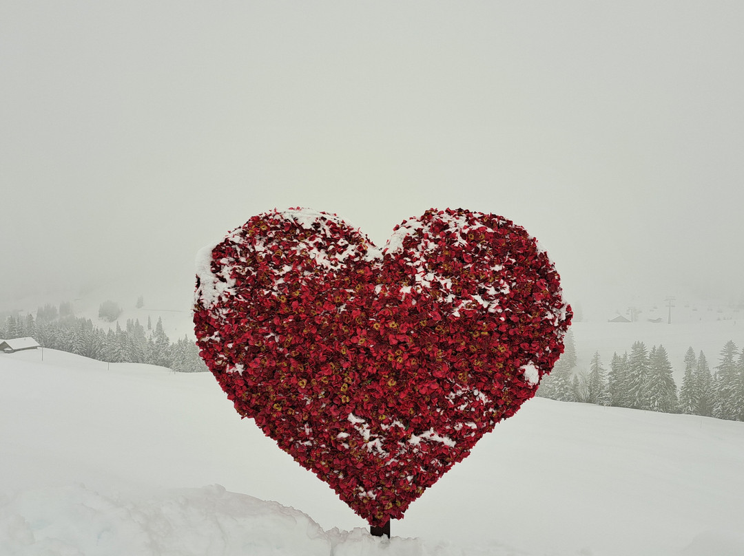 Ferien- und Familienhotel Alpina主图