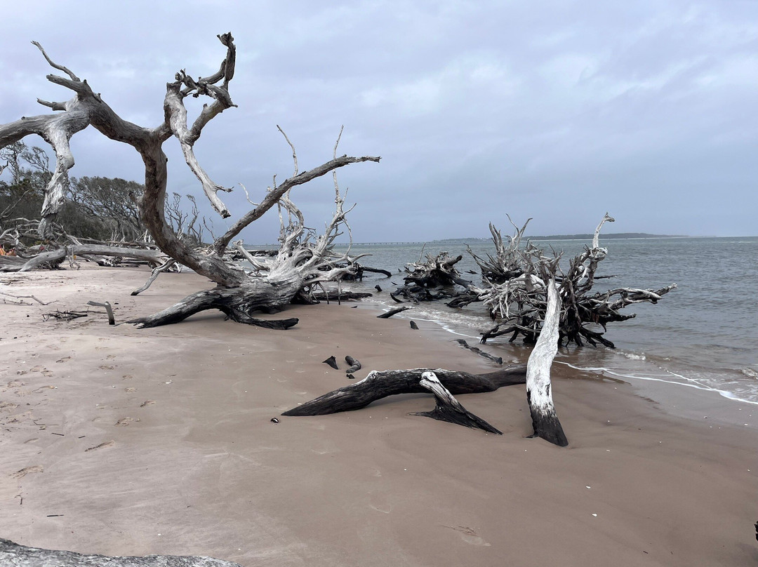 Beachside Motel主图