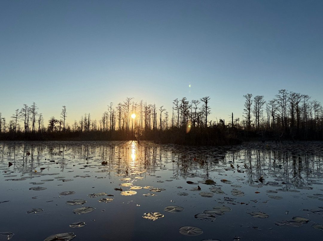 Okefenokee Adventures-Folkston必去景点