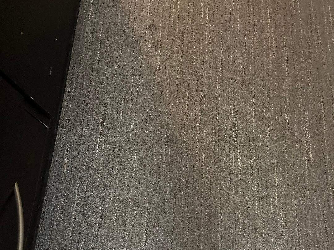 La Quinta Inn & Suites By Wyndham Sebring主图