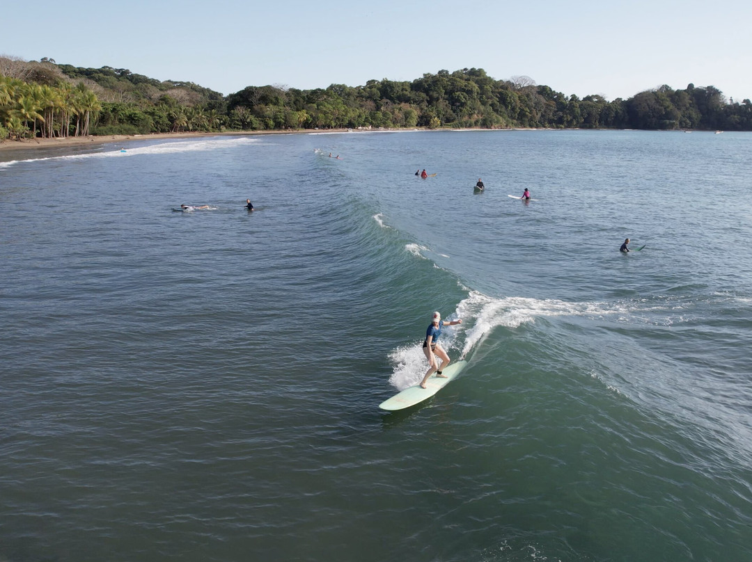 Dominical Surf School景点图片