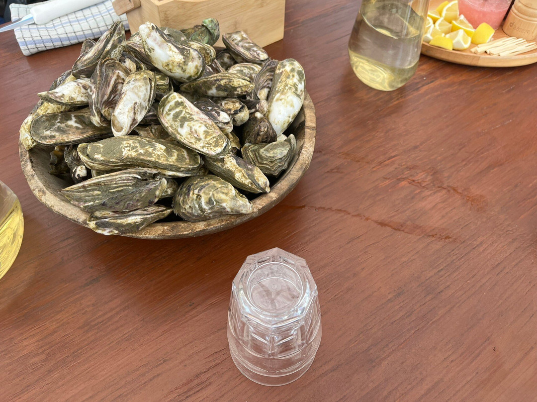 Nz Oyster Farm Tours-Mahurangi East必去景点