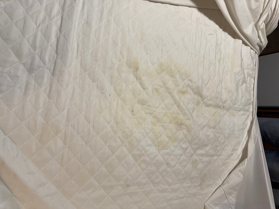 撒克逊霍姆酒店主图