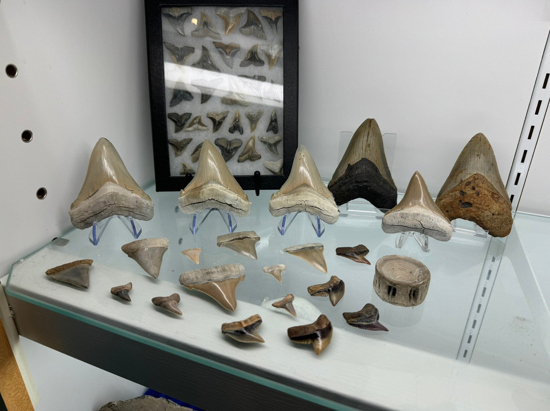 Mineral & Lapidary Museum景点图片