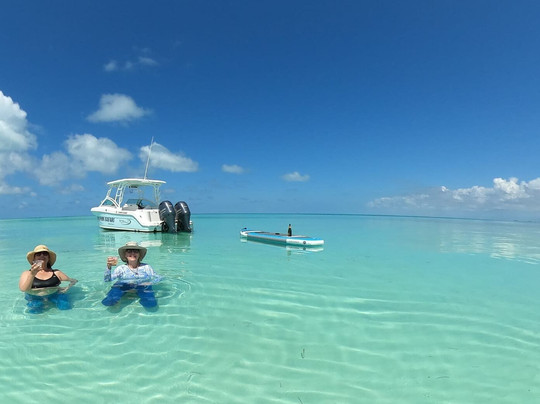 Dolphin Safari Charters-基韦斯特必去景点