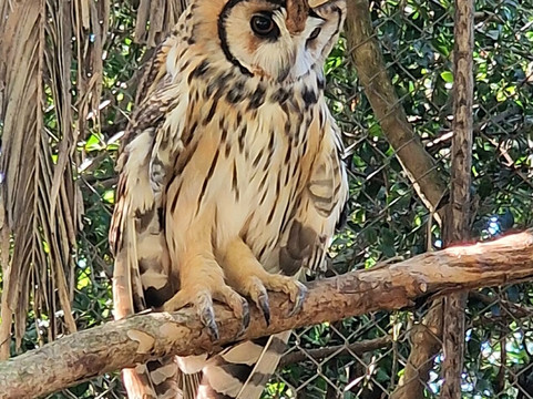 Reserva de Flora y Fauna Autóctona del Cerro Pan de Azúcar-Piriapolis必去景点