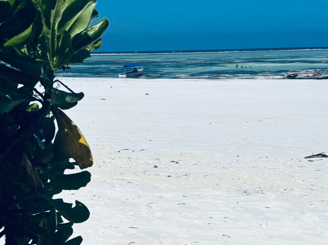 Matemwe Beach-Matemwe必去景点