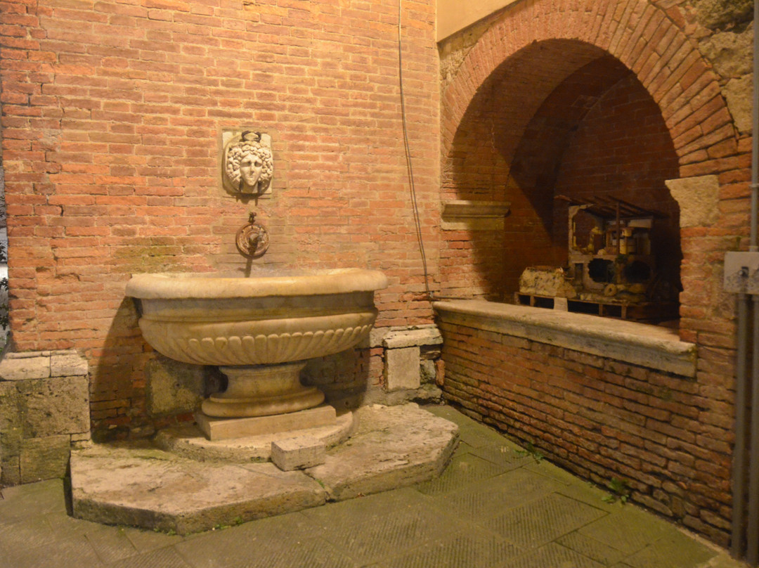 Torre e Fonte della Mencia in Asciano-阿夏诺必去景点