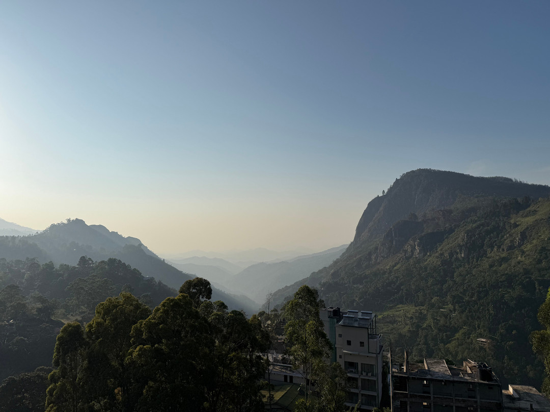 Amusing Lanka Tours景点图片