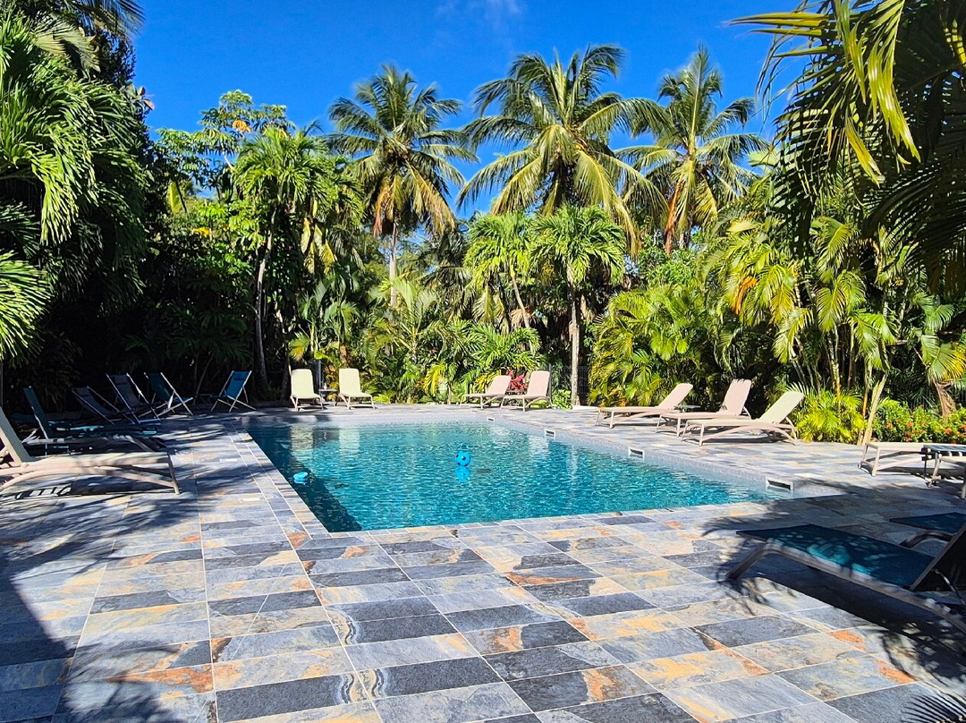 Caraïb' Bay Hotel主图