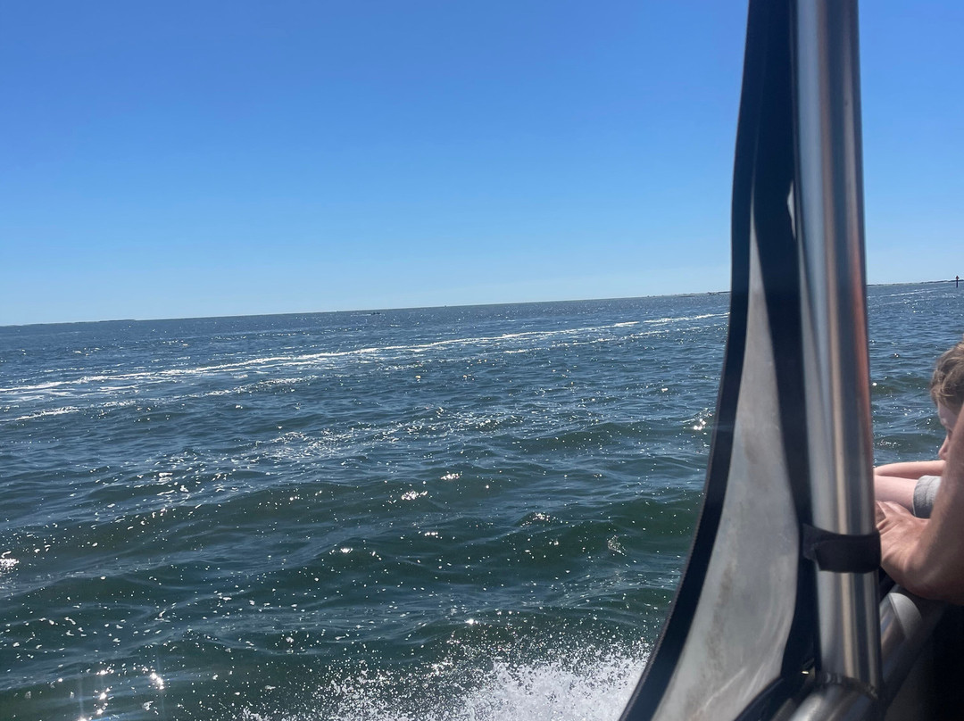 Spongeorama Sponge Factory-塔彭斯普林斯必去景点