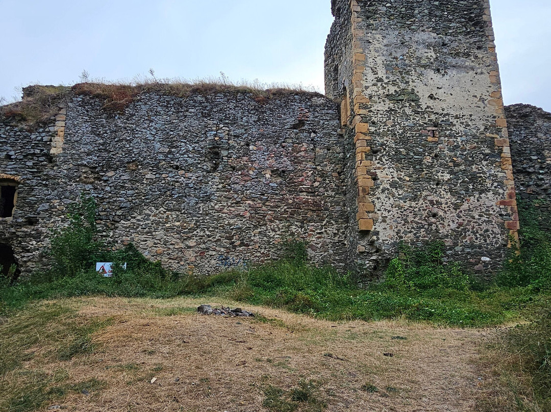 Cetatea Soimos景点图片