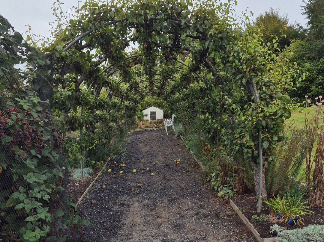 Kaydale Lodge Gardens-Devonport必去景点