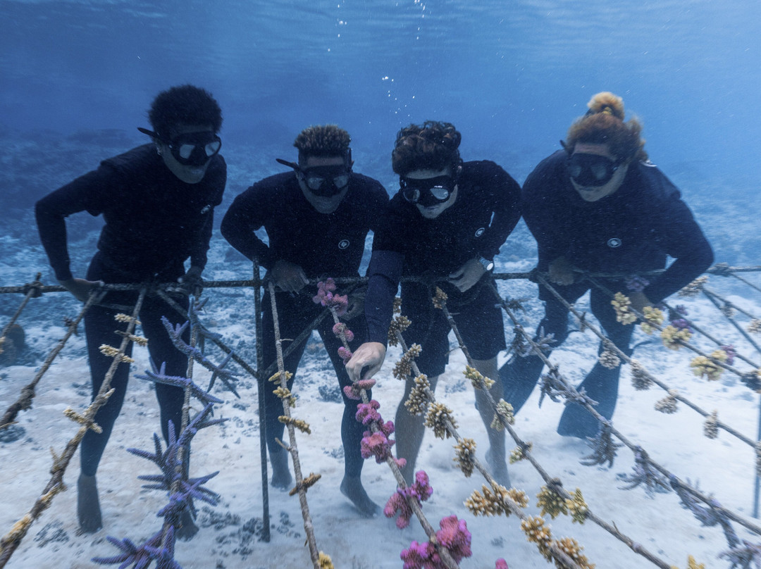 Coral Gardeners Xperience-Paopao必去景点