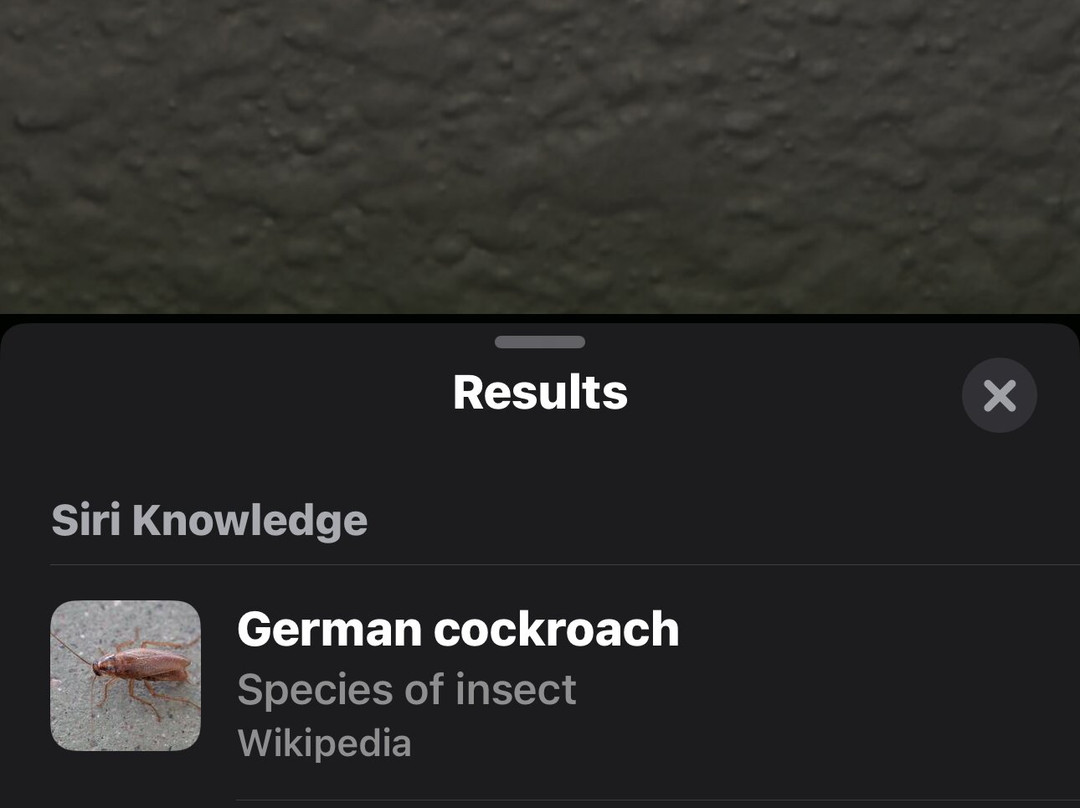 Best Western Plus Atrium Inn & Suites主图